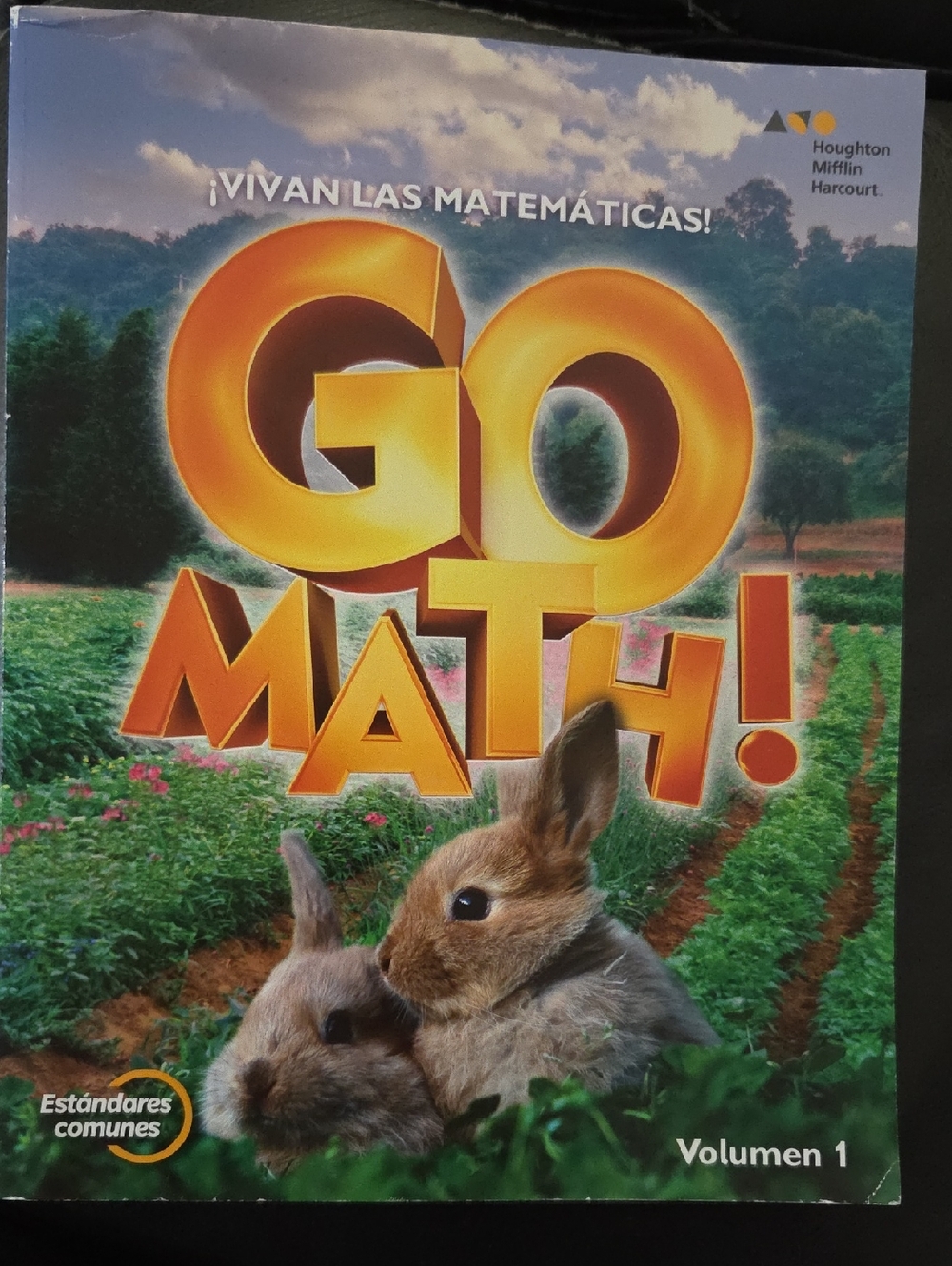 GO MATH! Volumen 1 Kinderdergarten Textbook -  Spanish Edition